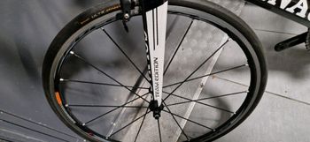 Used Colnago Colnago M10S 2018 Road & Gravel, Black — image 7 of 13