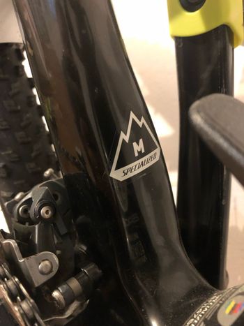 Specialized Epic Comp Carbon 29er 2011 2011 Mountainbike usato, Grigio chiaro — immagine 6 di 7