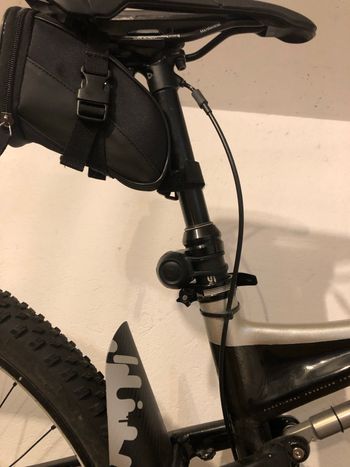 Specialized Epic Comp Carbon 29er 2011 2011 Mountainbike usato, Grigio chiaro — immagine 7 di 7