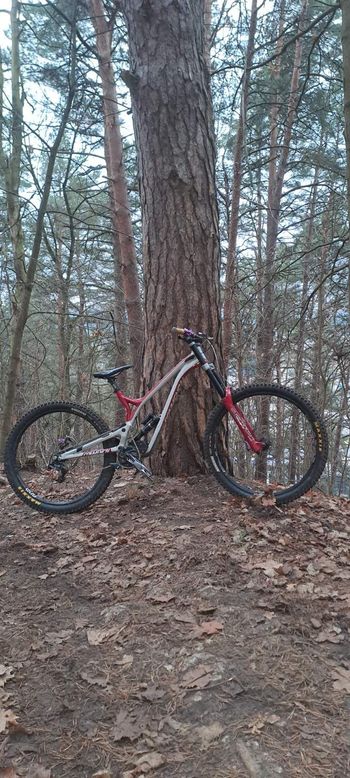 Commencal, Commencal Supreme Dh Team 2020