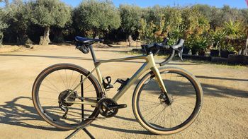 Superior, X-ROAD Team Elite SE 2024