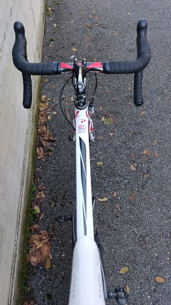 Used Pinarello Pinarello Dogma 60.1 2015 Road & Gravel, Weiß — image 5 of 7