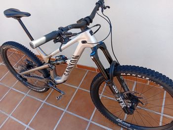 Used Canyon SPECTRAL CF8 K.I.S.2023 2023 Mountainbike, Light Gray — image 11 of 15