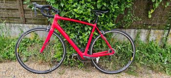 Specialized Roubaix SL4 Sora 2014 2014