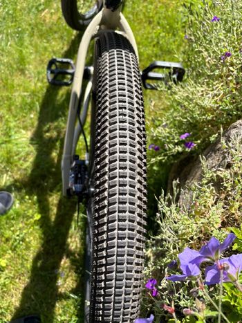 Used Propain Trickshot SRAM GX 2024 Mountainbike, Black — image 25 of 28