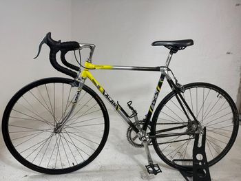 Alan, ALAN Carbonio 556 Shimano 600
