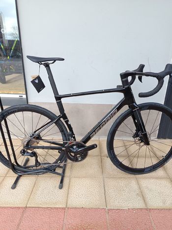 Berria, Belador 105 Di2 2025