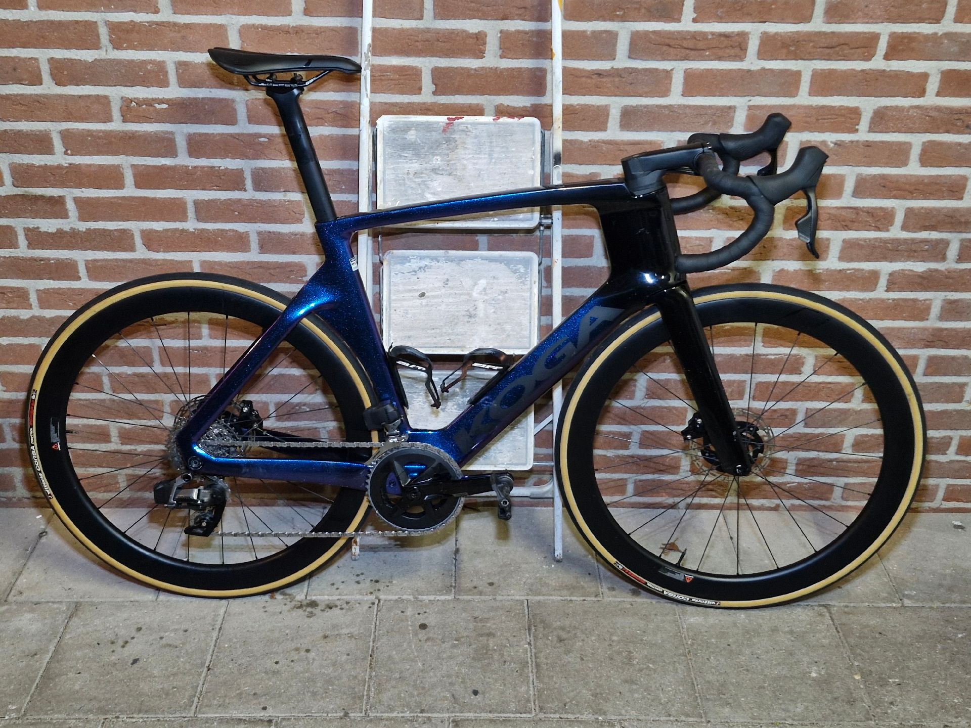 Koga Kinsei Premium 2024 2024