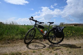 Giant, ToughRoad SLR EX 2022