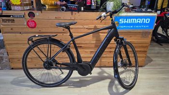 Trek, Verve + 3