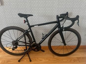 Specialized, Allez Elite 2023