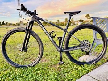 Trek, Procaliber 9.6 2019