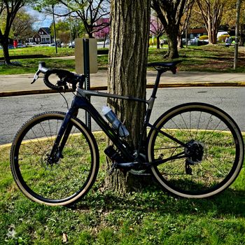 Used Cannondale Topstone Carbon 1 RLE 2023 Road & Gravel, Black — image 13 of 14