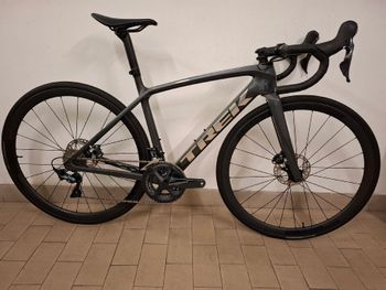 Trek, Émonda SL 6 Disc 2022
