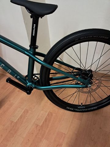 Brugt Commencal Absolut 24 2025 2025 Mountainbike — billede 3 af 5