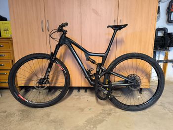 Ibis, Ripley LS GX Eagle 2018