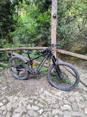 Mondraker, CRAFTY R 2022