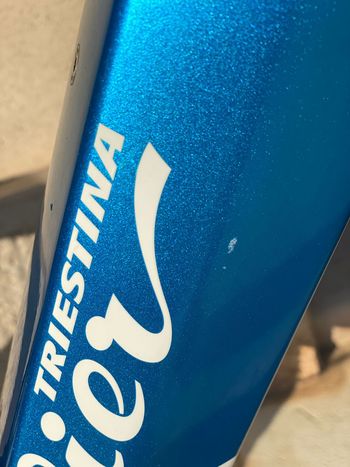 Used Wilier e903TRN PRO SHIMANO XT 1X12 2023 2023 Mountainbike, Blue, 29 — image 6 of 7