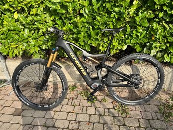 Used Whistle B-Rush Rx C7.5 2024 Mountainbike — image 2 of 6