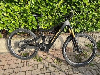 Used Whistle B-Rush Rx C7.5 2024 MTB
