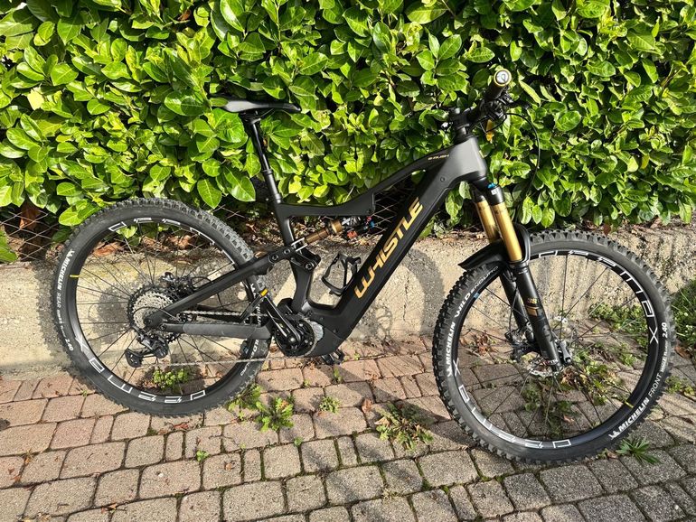 Used Whistle B-Rush Rx C7.5 2024 Mountainbike — image 1 of 6