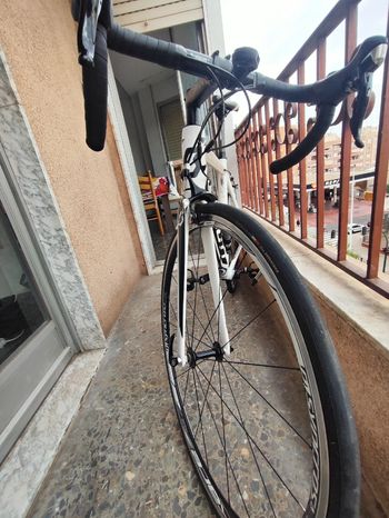 Used Scott Scott Speedster 20 2017 Road & Gravel — image 2 of 9