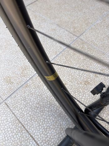 Used Wilier RAVE SLR SRAM FORCE XPLR ETAP AXS 1X12 2023 2023 Road & Gravel, Orange — image 6 of 6