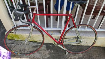 Used Colnago Super 1980 1980 Road & Gravel