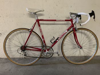 Used Cellini S. Dunhill 1980 Road & Gravel — image 1 of 4