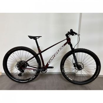 Corratec, Revo BOW Elite 2024