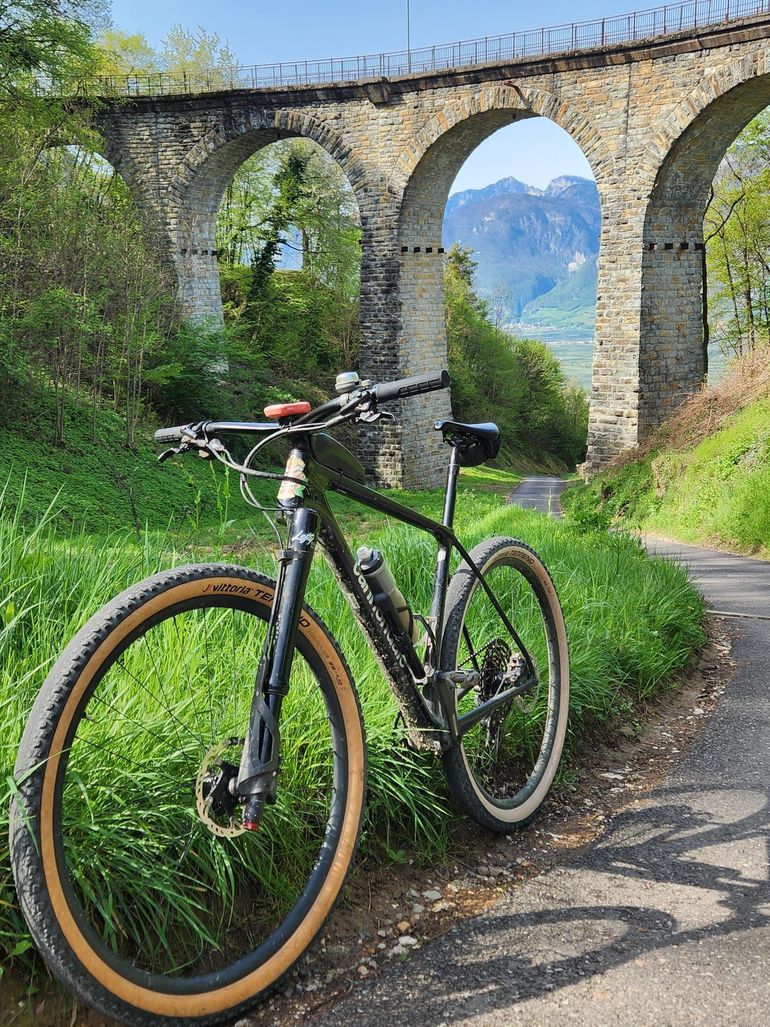 Used Cannondale F-Si Carbon 2 2020 2020 Mountainbike — image 1 of 7