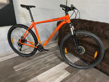Cannondale, Trail 6 2024