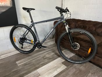 Cannondale, Trail 6 2024