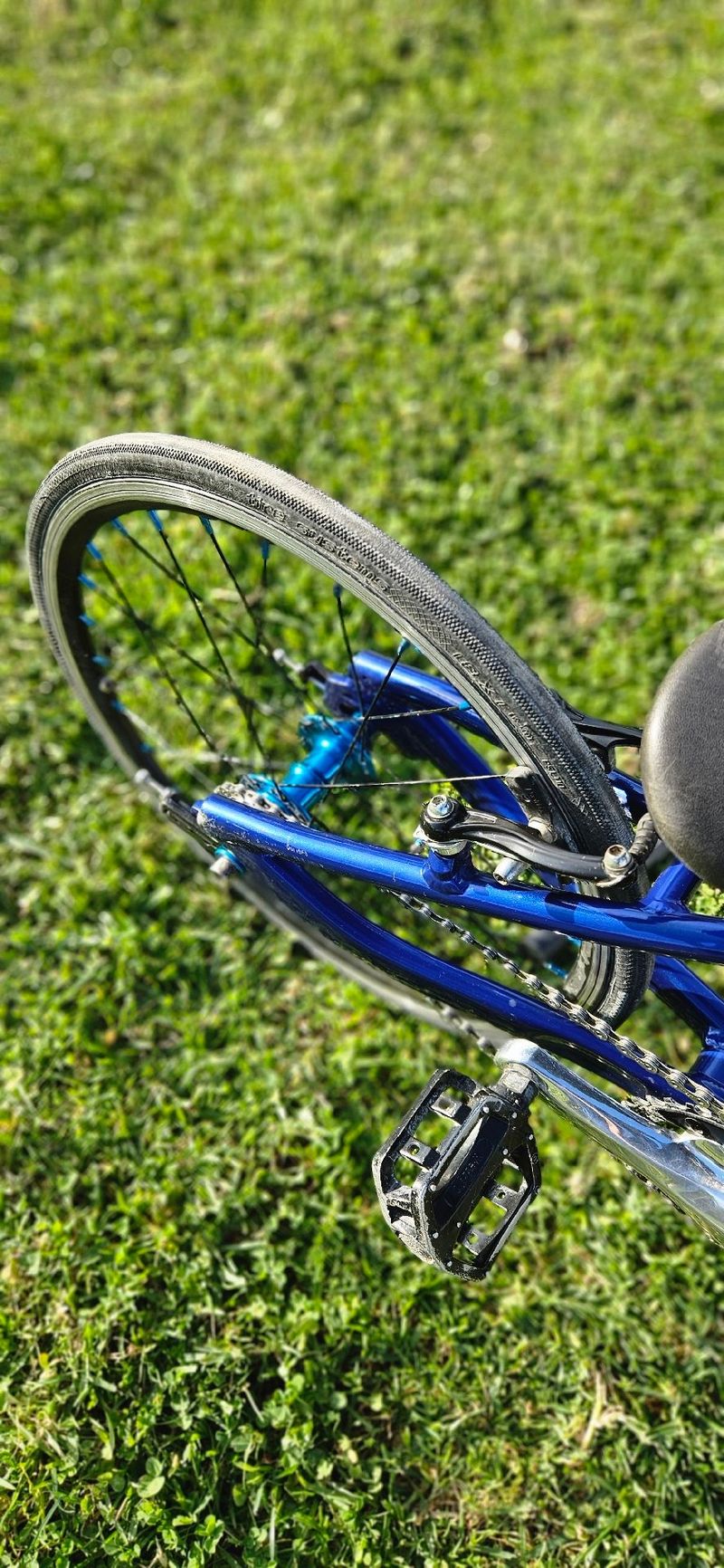 Used GT BMX Micro 2022 Mountainbike, Blue — image 3 of 4
