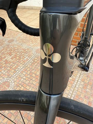 Used Colnago V4 2024 Road & Gravel, Light Gray — image 2 of 18