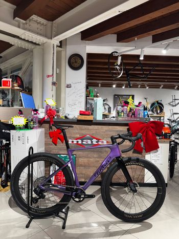 Wilier, Rave SLR ID2