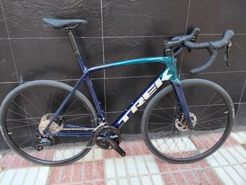 Used Trek Émonda SL 5 2024 2024 Road & Gravel