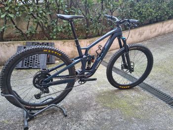 Trek, Fuel EX 9.8 XT Gen 6 2024