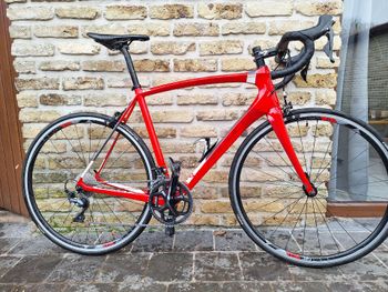 Ridley, Fenix C - Shimano Ultegra ML 2020