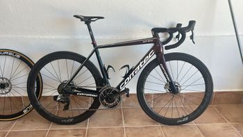 Corratec, CCT EVO SLR Disc 2022