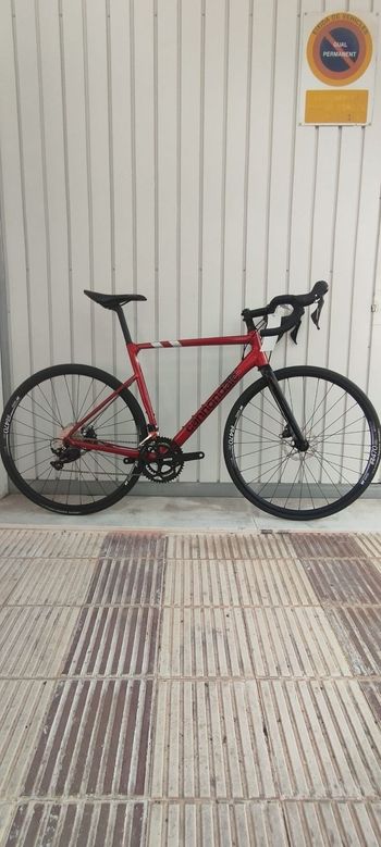Cannondale, CAAD13 Disc 105 2022