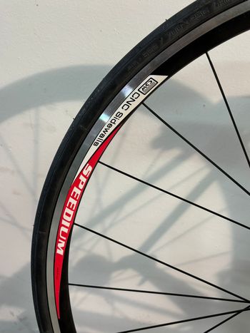 Used Other Brands Tessiore Cavallaria 2014 Road & Gravel, Red — image 12 of 12