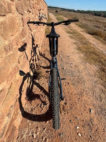 Used Radon JAB MX 10.0 2025 2025 Mountainbike — image 10 of 11