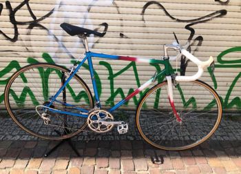 Colnago, Vintage Alba