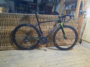 Giant, TCR Advanced Pro 1 2019