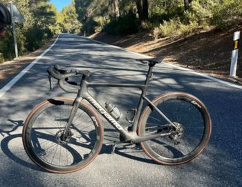 Megamo, PULSE ELITE 20 LTD 2023