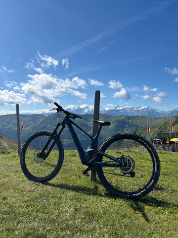 Used Scott Genius 930 2024 2024 Mountainbike, Blue, 29 — image 4 of 11