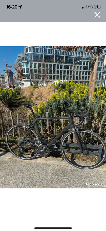 Canyon, Ultimate CF SL 8 2022