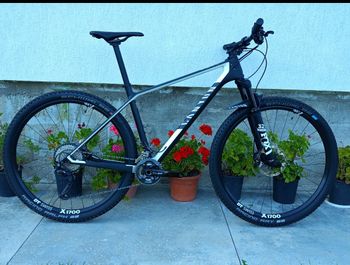 Canyon, Exceed CF 8 2021