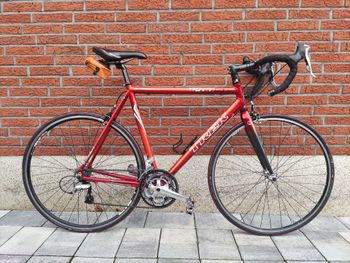 Trek, 1200 SL